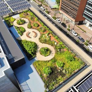 A view of the Yerrabingin rooftop native plant garden from above in the middle of the City